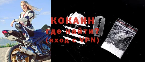 хмурый Абаза