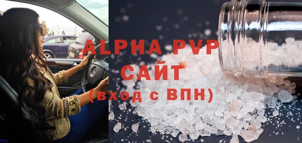 хмурый Абаза