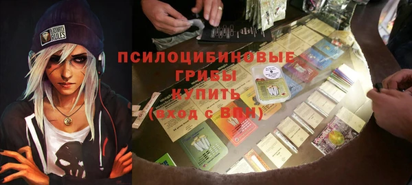 хмурый Абаза