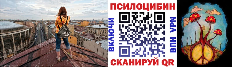 где можно купить наркотик  Западная Двина  Галлюциногенные грибы GOLDEN TEACHER 